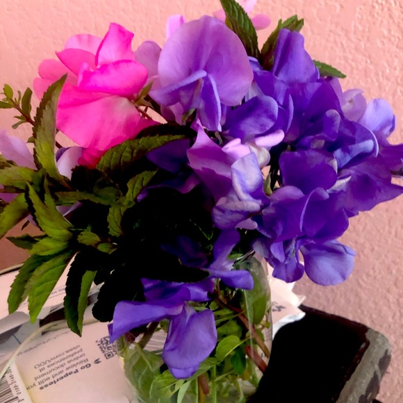 Meet your Posher, Nancy - Picture 1 of 1